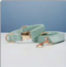 Multiple Colour Velvet Personalise Dog Collar Leash Set With Bow (Option: Cyan set-M)