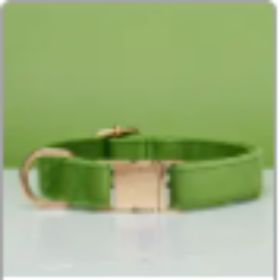 Multiple Colour Velvet Personalise Dog Collar Leash Set With Bow (Option: Green-M)