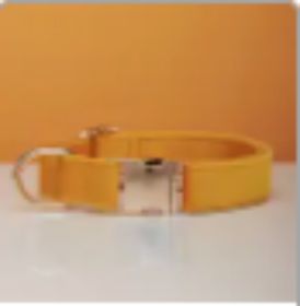 Multiple Colour Velvet Personalise Dog Collar Leash Set With Bow (Option: Yellow-XS)
