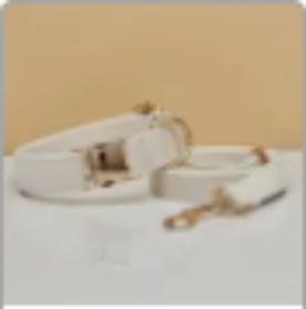 Multiple Colour Velvet Personalise Dog Collar Leash Set With Bow (Option: White set-XS)